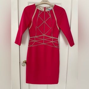Antonio Melani Hot Pink & Nude Stripes Dress